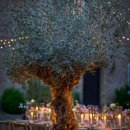 Ξενοδοχείο Holckenhavn Slot Nyborg